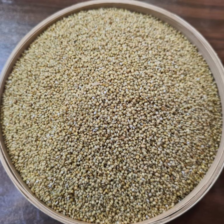 Browntop Millet குல சாமை Uzhavar Kalam